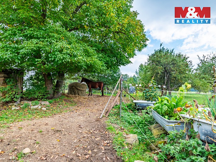 Prodej  zemědělské usedlosti 540 m², pozemek 2 839 m² - foto 6
