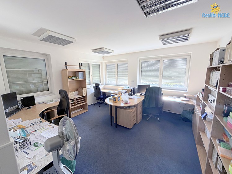 Pronájem  vily 350 m², pozemek 881 m² - foto 6