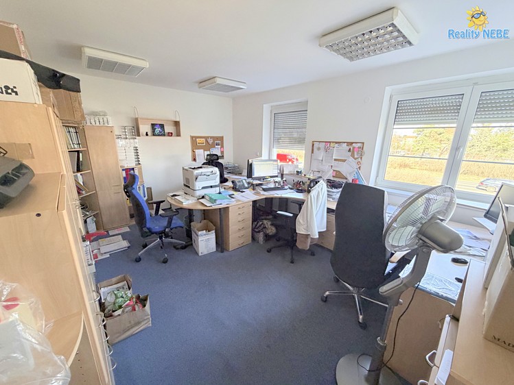 Pronájem  vily 350 m², pozemek 881 m² - foto 7