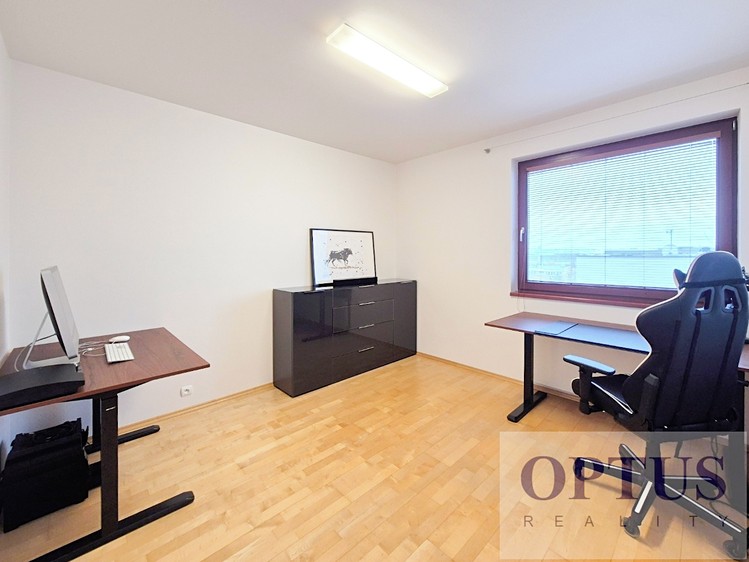 Pronájem  rodinného domu 288 m², pozemek 383 m² - foto 8