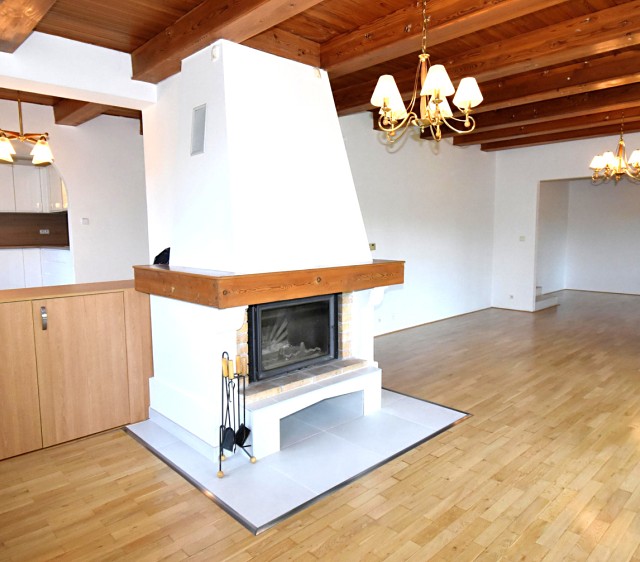 Pronájem rodinného domu 350 m², pozemek 779 m² - foto 2