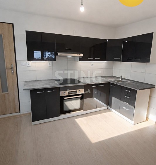 Pronájem rodinného domu 433 m², pozemek 534 m² - foto 8