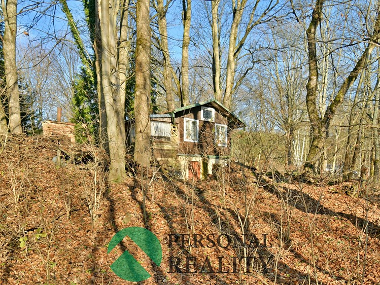 Pronájem  chaty 28 m², pozemek 2 368 m² - foto 4
