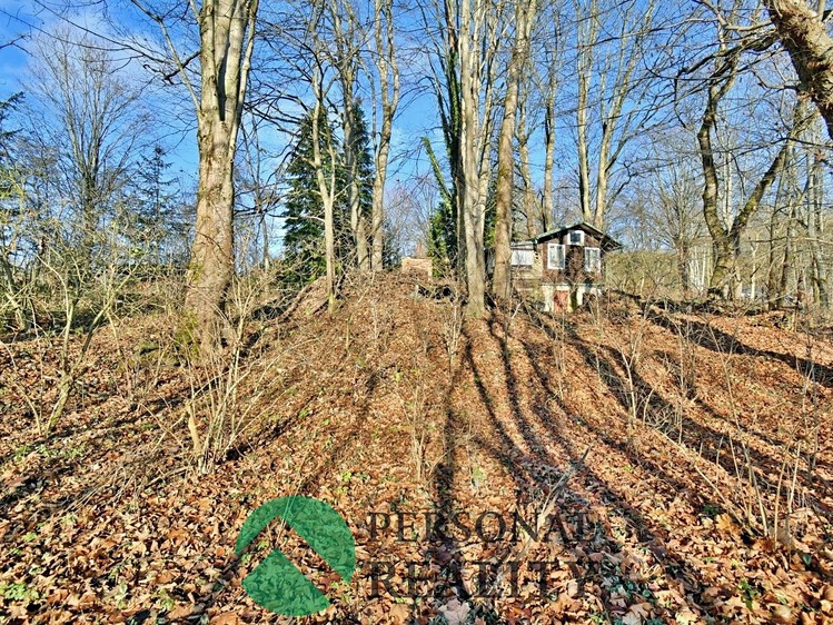 Pronájem  chaty 28 m², pozemek 2 368 m² - foto 6