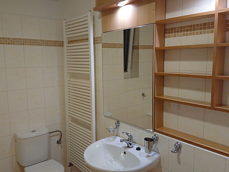 Pronájem rodinného domu 120 m², pozemek 300 m² - foto 6
