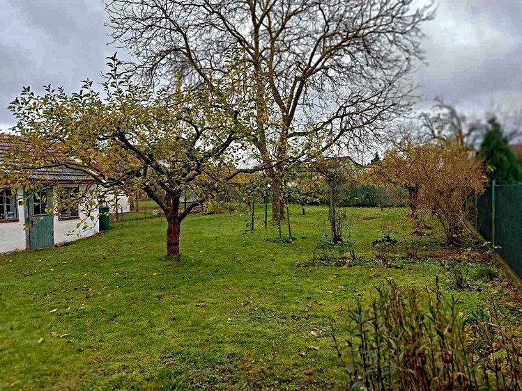 Pronájem rodinného domu 75 m², pozemek 601 m² - foto 5