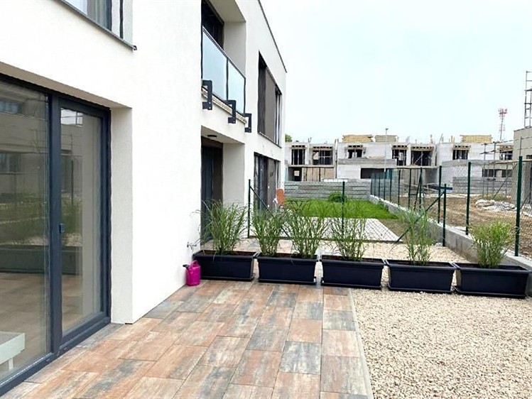Pronájem rodinného domu 140 m², pozemek 115 m² - foto 4