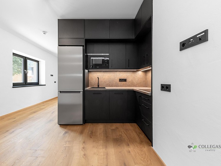Prodej bytu 1+kk 45 m² - foto 3