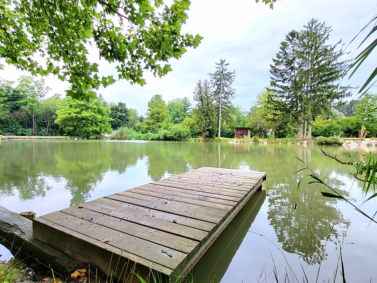 Prodej rodinného domu 301 m², pozemek 626 m² - foto 5