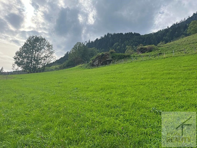 Prodej  stavebního pozemku 819 m² - foto 4