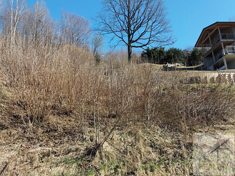 Prodej  stavebního pozemku 1 157 m² - foto 4
