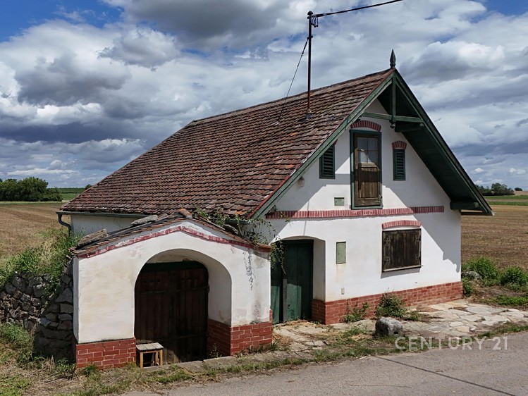 Prodej vinného sklepa 57 m² - foto 4
