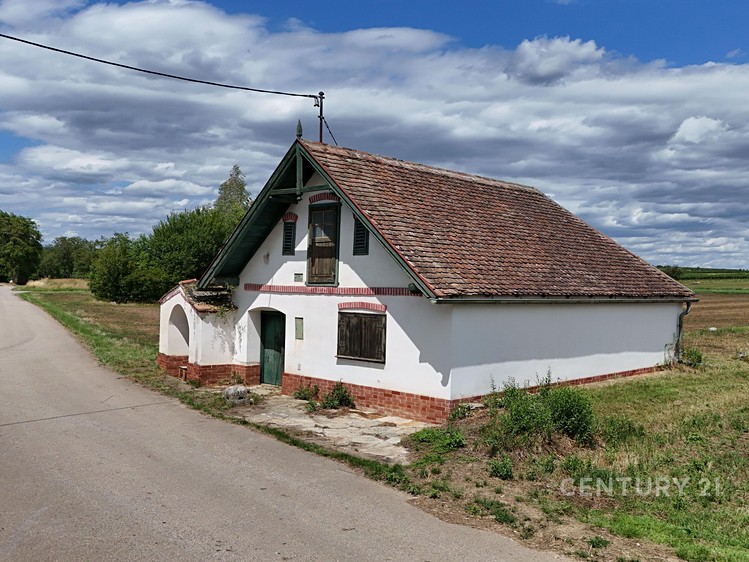 Prodej vinného sklepa 57 m² - foto 5
