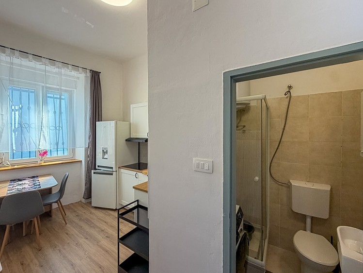Pronájem bytu 2+kk 30 m² (Jednopodlažní) - foto 2