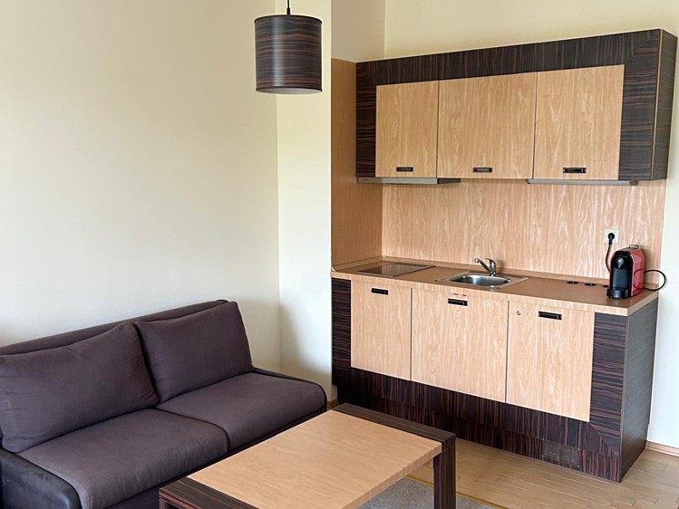 Prodej bytu 1+kk 44 m² (Jednopodlažní) - foto 6