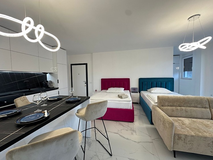 Pronájem bytu 1+1 99 m² (Jednopodlažní) - foto 8