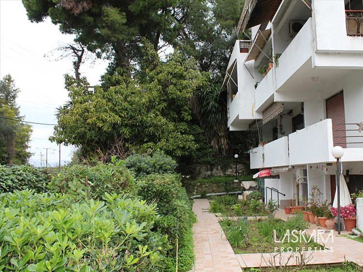 Prodej vícegeneračního domu 165 m², pozemek 4 000 m² - foto 1