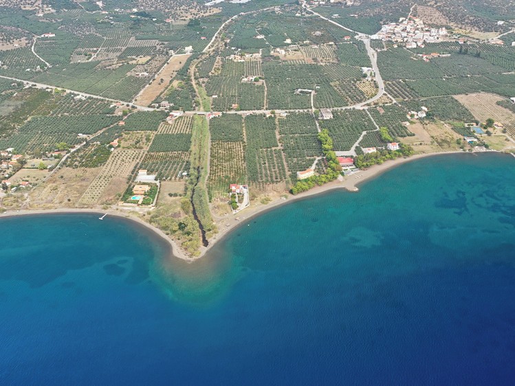 Prodej stavebního pozemku 3 600 m² - foto 1