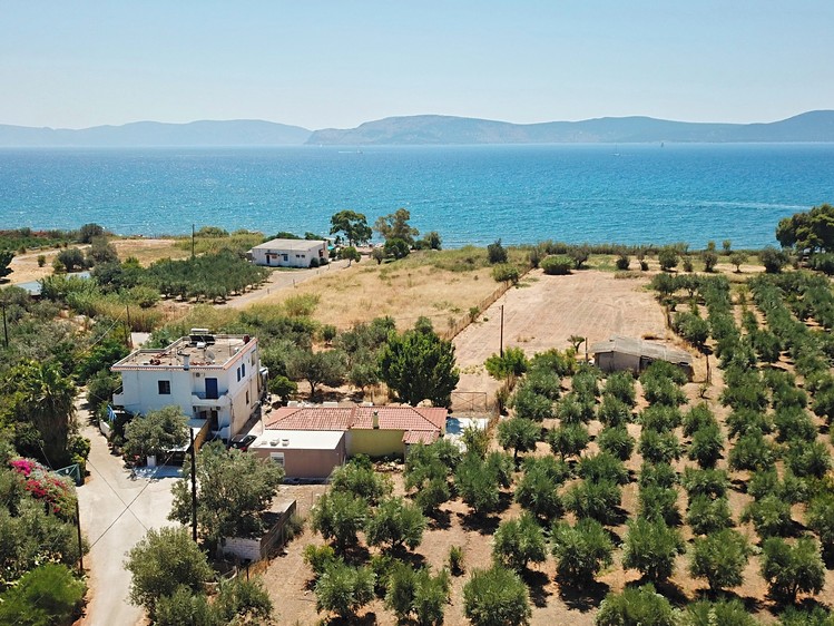 Prodej stavebního pozemku 3 600 m² - foto 6