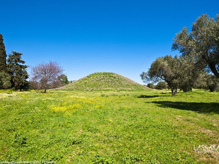Prodej stavebního pozemku 4 000 m² - foto 4