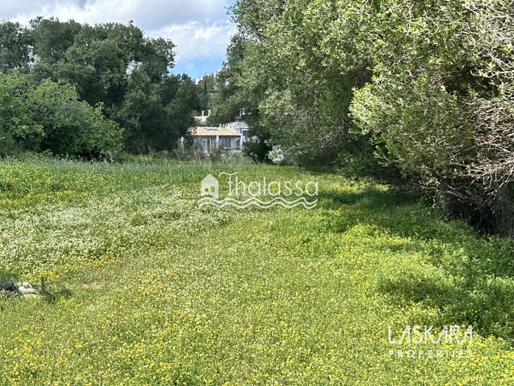 Prodej komerčního pozemku 20 000 m² - foto 8