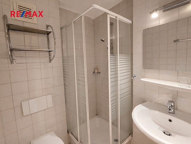 Prodej bytu 1+kk 24 m² (Jednopodlažní) - foto 5