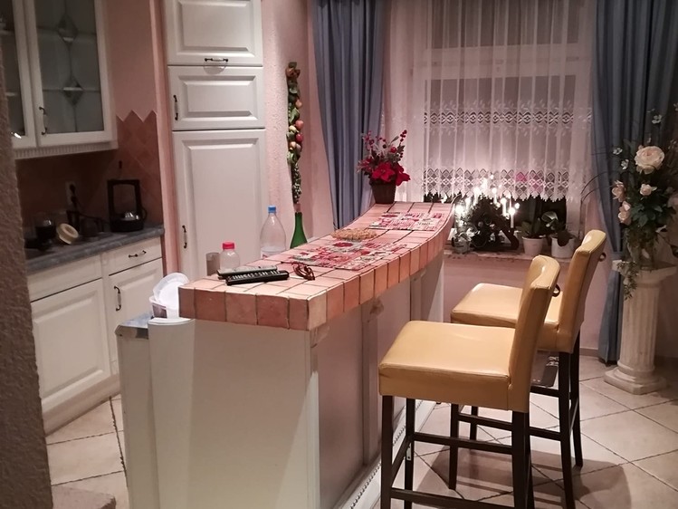 Prodej rodinného domu 343 m², pozemek 590 m² - foto 8