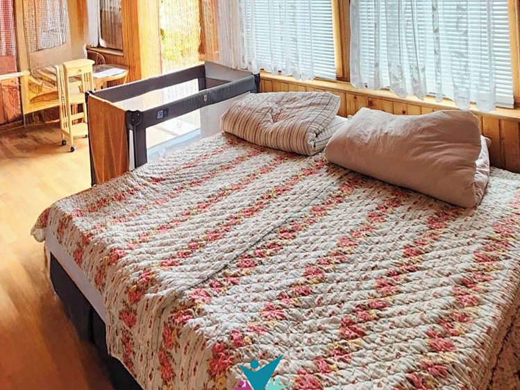 Prodej zahrady 400 m² - foto 5