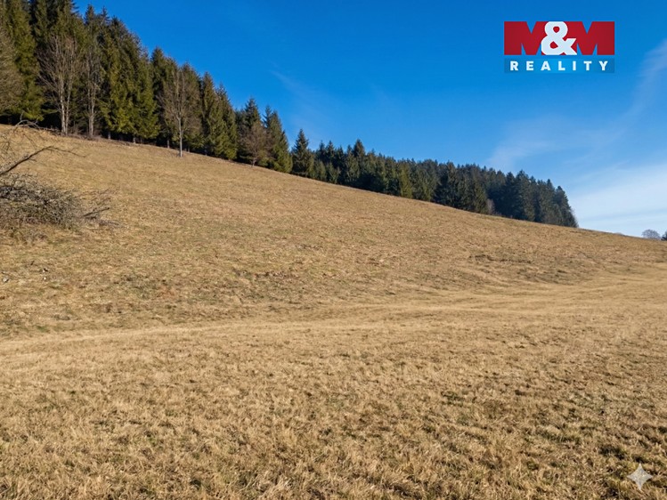 Prodej stavebního pozemku 3 800 m² - foto 3