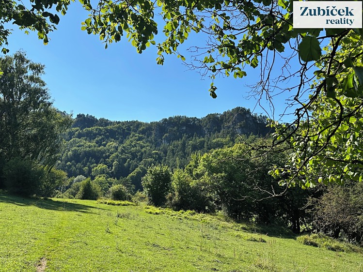 Prodej  louky 8 973 m² - foto 7