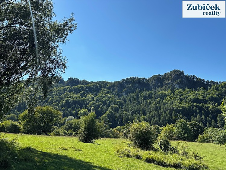 Prodej  louky 8 973 m² - foto 6