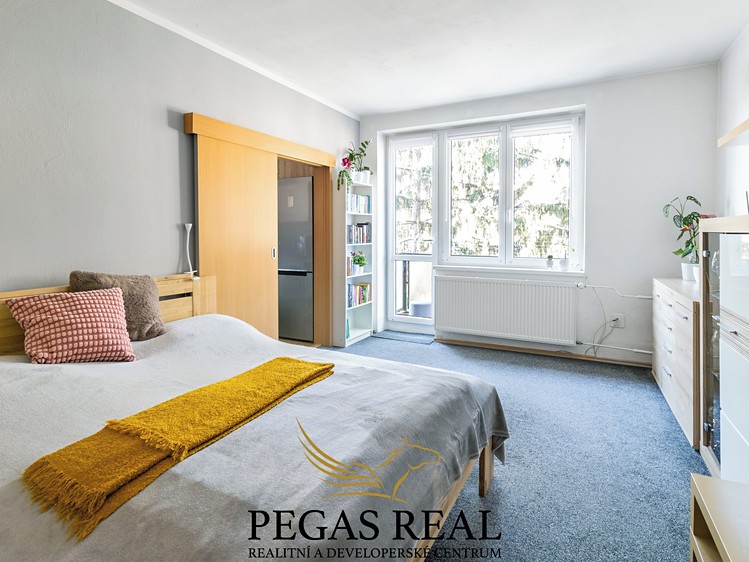 Prodej bytu 2+1 52 m² (Jednopodlažní) - foto 2