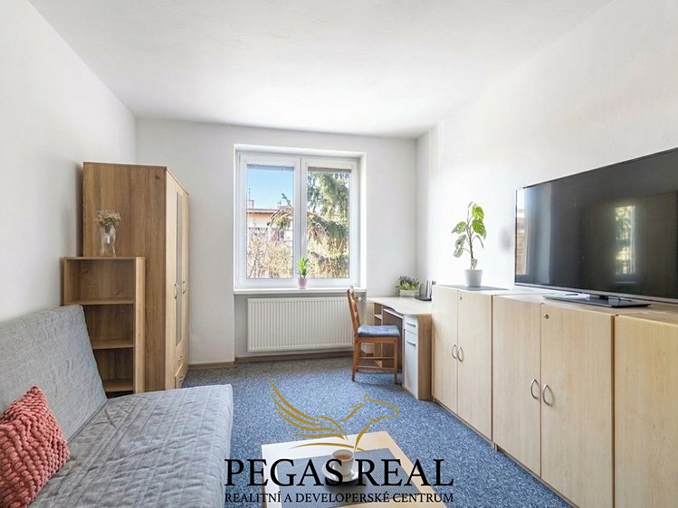 Prodej bytu 2+1 52 m² (Jednopodlažní) - foto 4