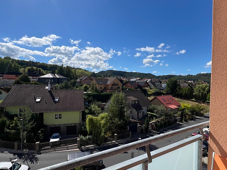 Prodej bytu 1+1 50 m² (Jednopodlažní) - foto 3