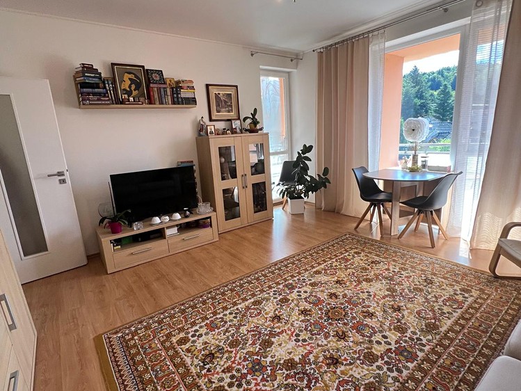 Prodej bytu 1+1 50 m² (Jednopodlažní) - foto 2