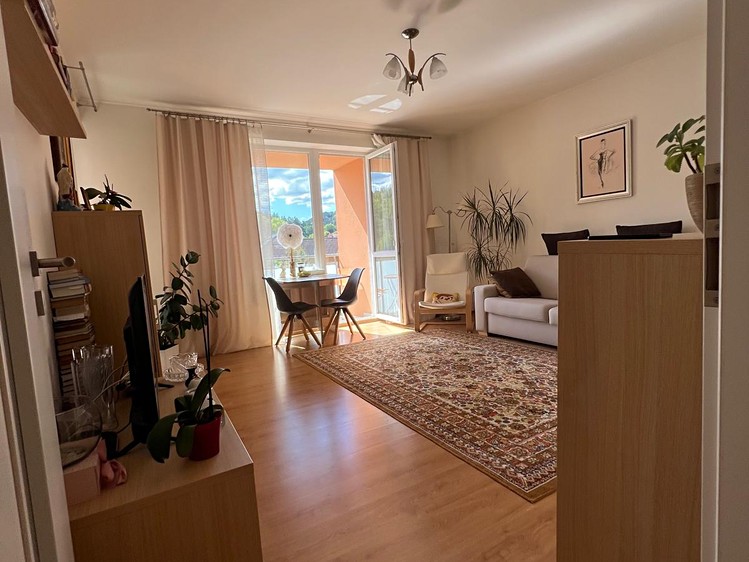 Prodej bytu 1+1 50 m² (Jednopodlažní) - foto 7