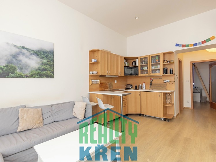 Prodej bytu 2+kk 32 m² (Jednopodlažní) - foto 3