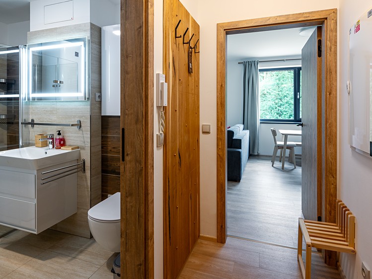 Prodej bytu 1+kk 31 m² (Jednopodlažní) - foto 3