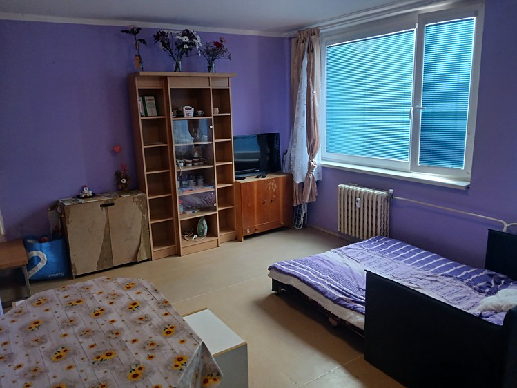 Prodej bytu 1+kk 33 m² (Jednopodlažní) - foto 3