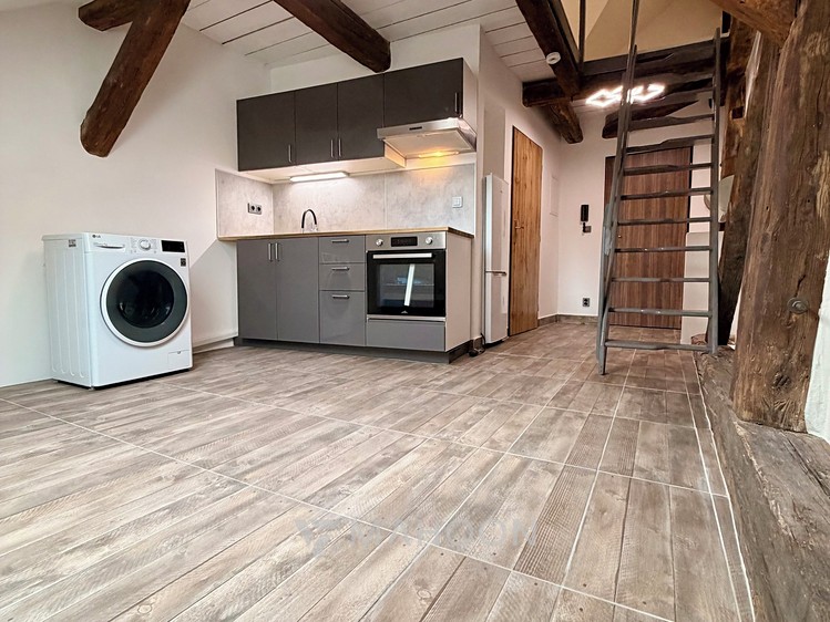Prodej bytu 1+kk 43 m² (Loft) - foto 4