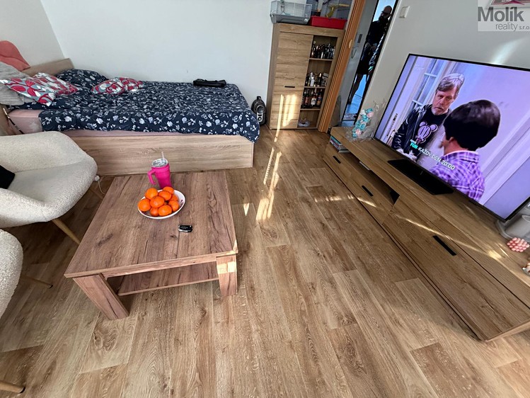 Prodej bytu 1+1 27 m² - foto 4