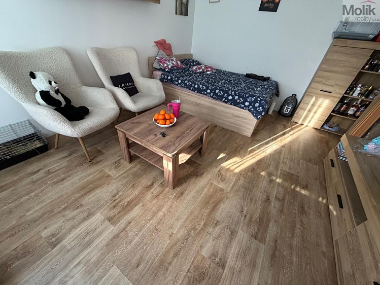Prodej bytu 1+1 27 m² - foto 2