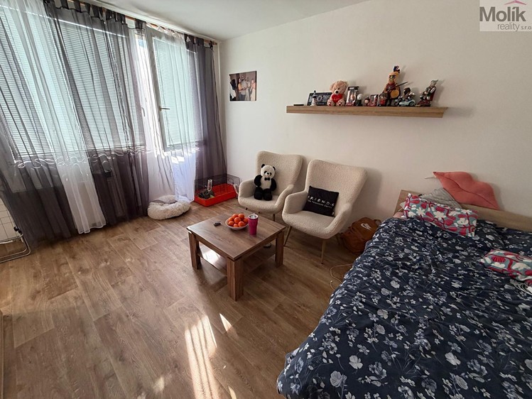 Prodej bytu 1+1 27 m² - foto 3