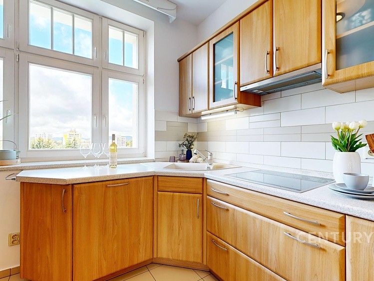 Prodej bytu atypické 209 m² - foto 8