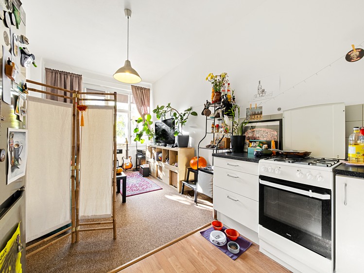 Prodej bytu 2+kk 51 m² (Jednopodlažní) - foto 4