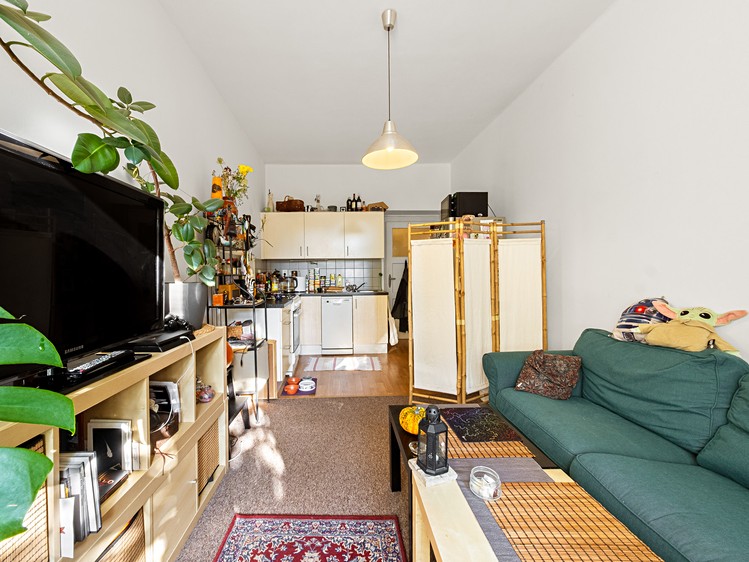 Prodej bytu 2+kk 51 m² (Jednopodlažní) - foto 5