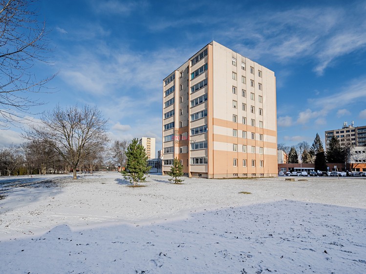 Prodej bytu 3+1 67 m² (Jednopodlažní) - foto 4