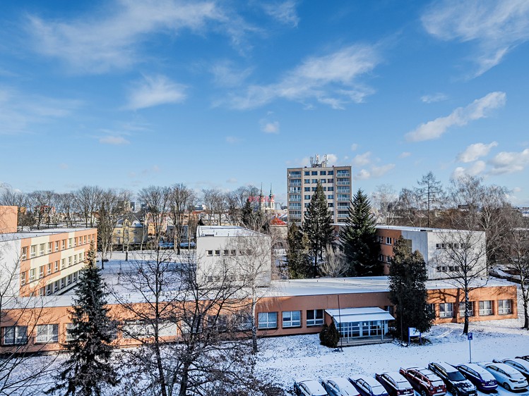 Prodej bytu 3+1 67 m² (Jednopodlažní) - foto 5