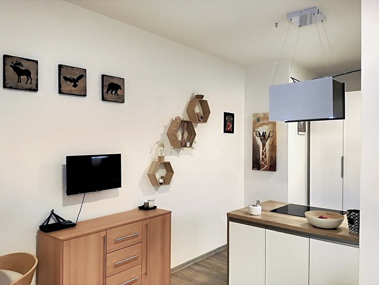 Prodej bytu 1+kk 50 m² - foto 3