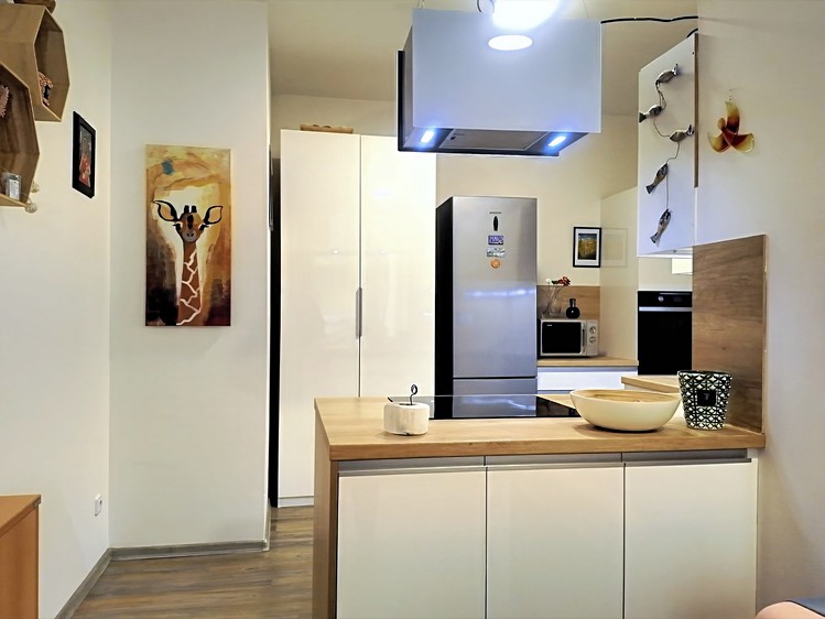 Prodej bytu 1+kk 50 m² - foto 4